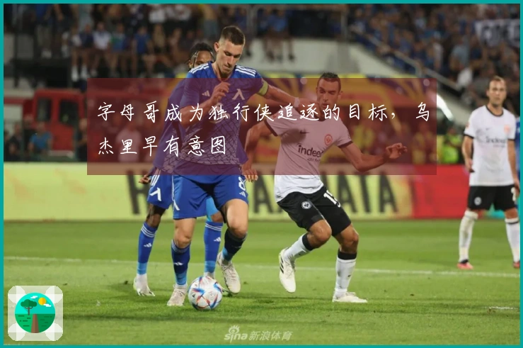 字母哥成为独行侠追逐的目标，乌杰里早有意图